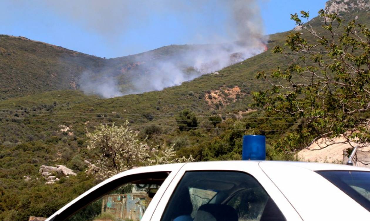 Συμβαίνει τώρα: Μεγάλη φωτιά μαίνεται στην Αργολίδα (pics)