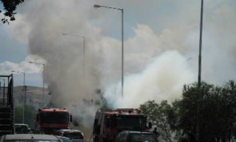 Φωτιά κοντά στην υψηλή γέφυρα της Χαλκίδας (pics)
