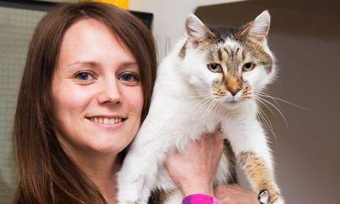 Ουαλία: Γάτα ξαναβρέθηκε με τους ιδιοκτήτες της μετά από έξι χρόνια!