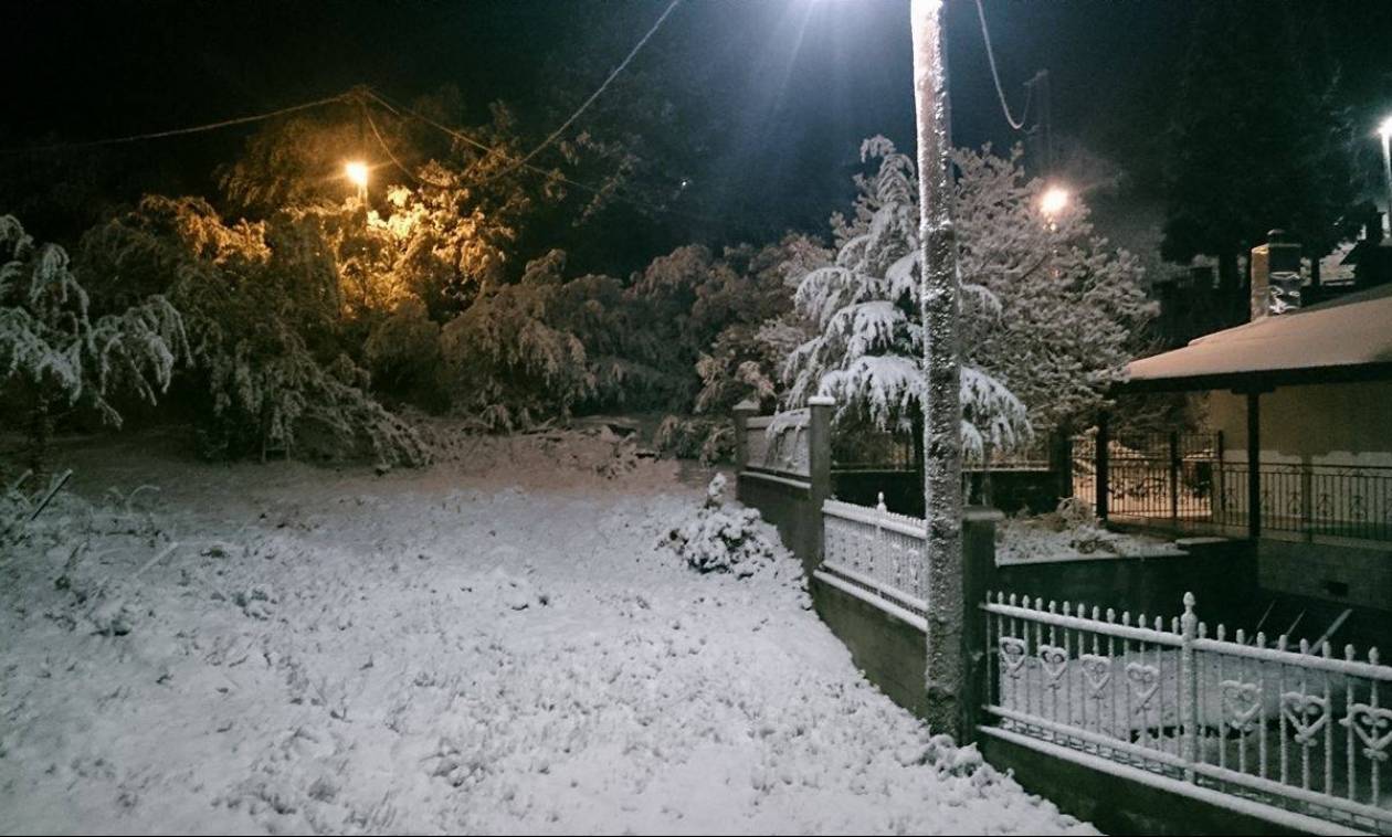 Στα λευκά «ντύθηκαν» τα Γρεβενά (pics&vid)