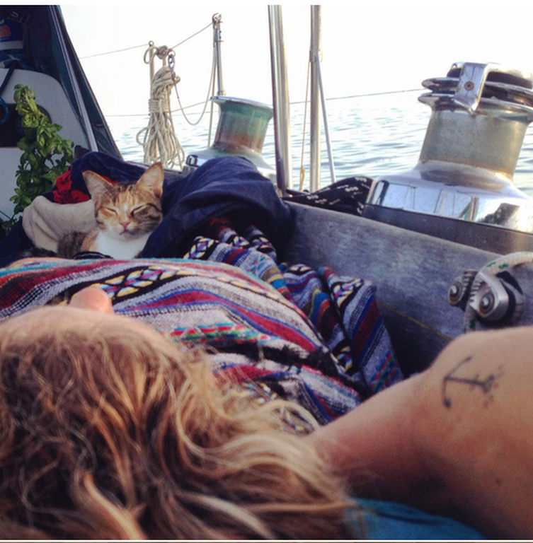 Η καπετάνισσα που αρμενίζει τα πέλαγα με τη γάτα της! (pics)