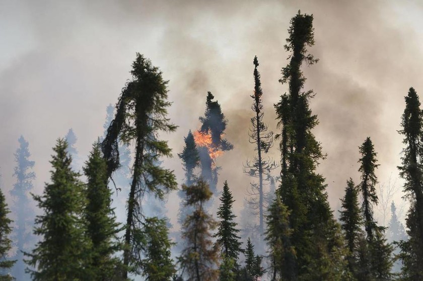 Ο Καναδάς στις φλόγες: Ανεξέλεγκτη πυρκαγιά κατακαίει δάση και πόλεις επί μια εβδομάδα (Pics)
