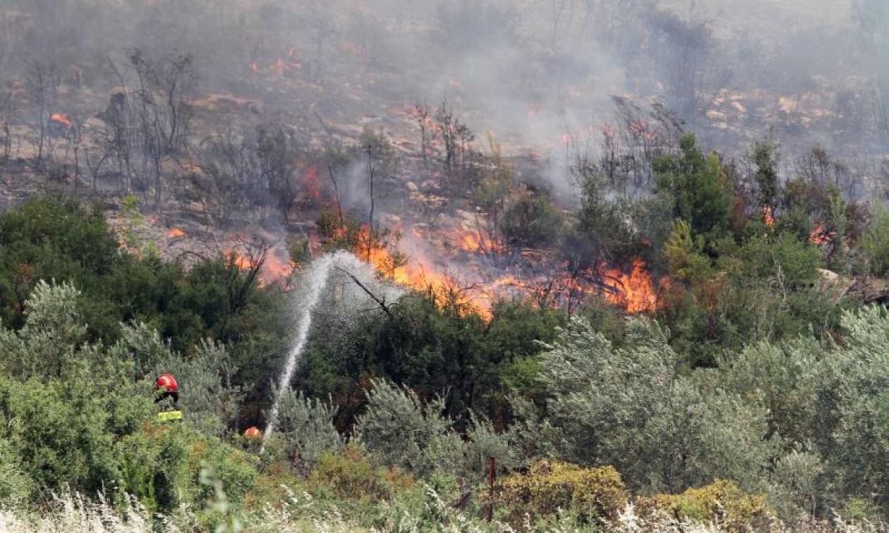 Συναγερμός στην Πυροσβεστική: Πυρκαγιά στον Άγιο Στέφανο