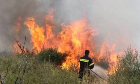 Συναγερμός στην Ηλεία: Μεγάλη πυρκαγιά στην Δαφνούλα