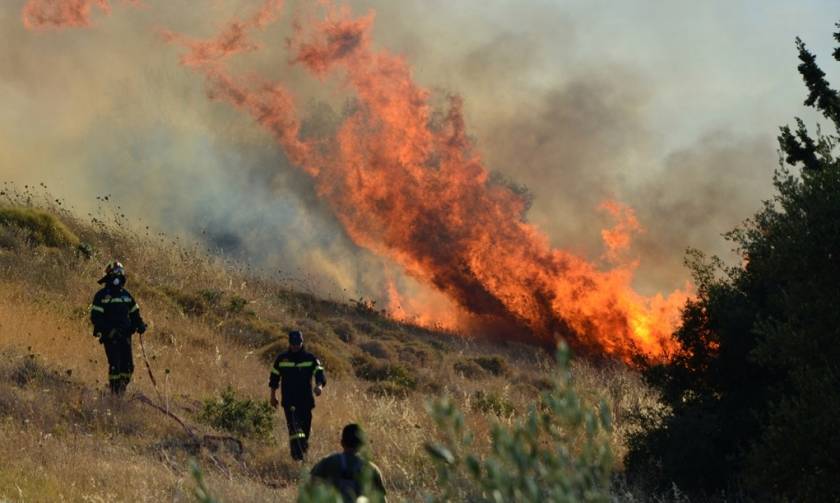 Υπό μερικό έλεγχο η φωτιά νότια του Σάνη στη Χαλκιδική