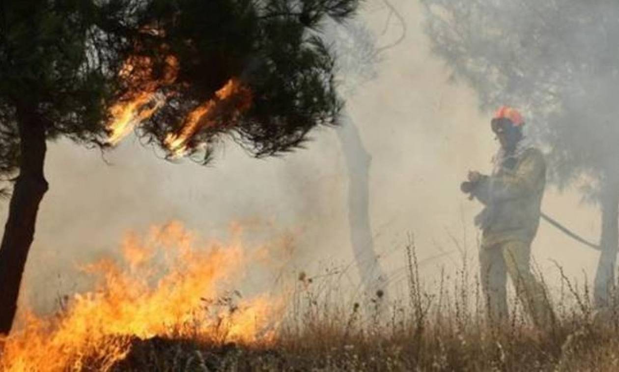 Μέγαρα: Συνελήφθη 52χρονος ως υπαίτιος πυρκαγιάς