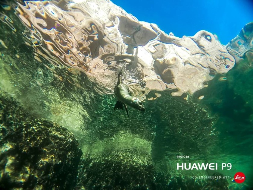 Δημιουργήστε τα δικά σας φωτογραφικά αριστουργήματα με το νέο Huawei P9