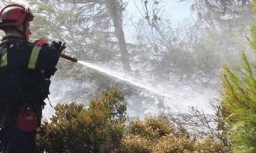 Ηράκλειο: Υπό έλεγχο η πυρκαγιά στις Ποταμιές