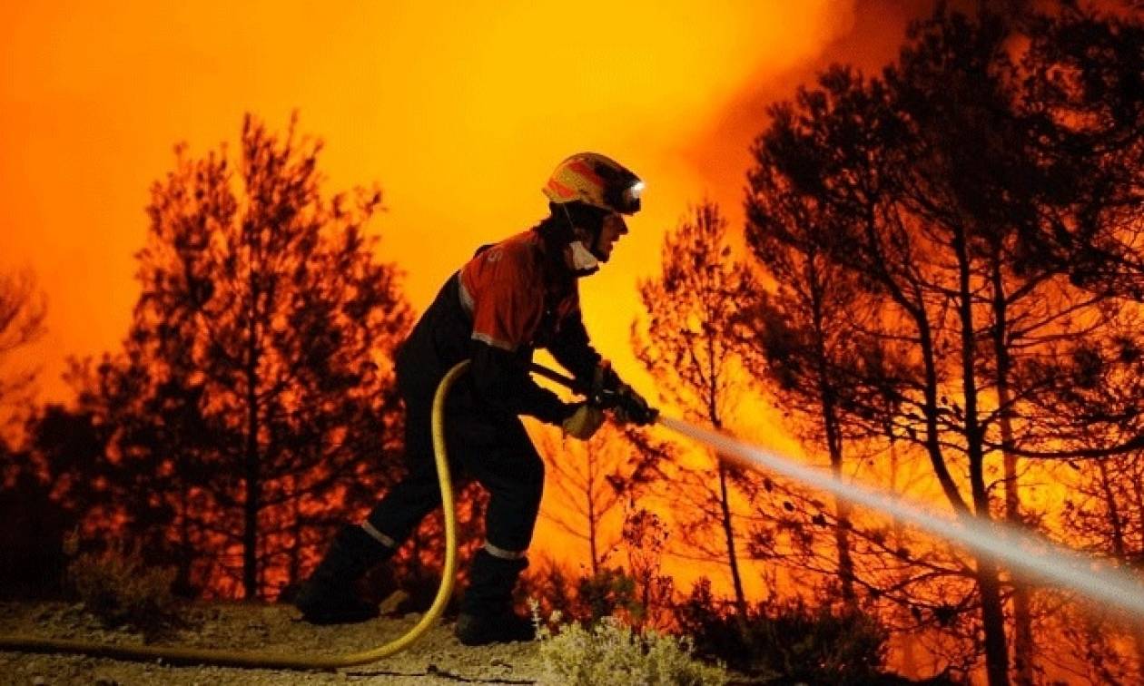 Πέντε φωτιές περικύκλωσαν την Αττική σε ένα 24ωρο