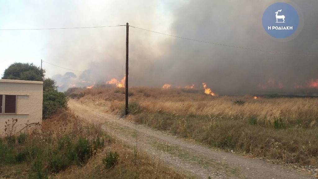 Στάχτη χιλιάδες στρέμματα από την πυργαγιά στη Ρόδο (video+photos)