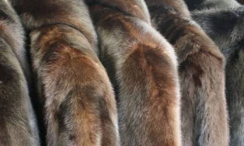 Θεσσαλονίκη – Απίστευτο: Δεν φαντάζεστε τι έκανε για να αγοράσει… 19 γούνες