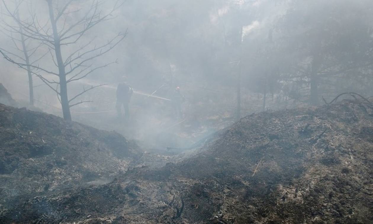 Η Ρόδος μετράει τις πληγές της μετά τη μεγάλη πυρκαγιά (video)