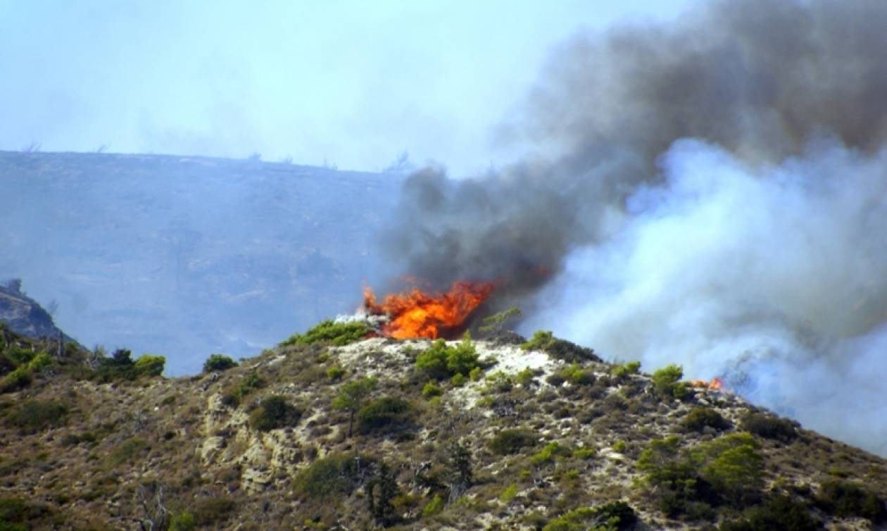 Υπό έλεγχο η φωτιά στο Βαρνάβα Αττικής