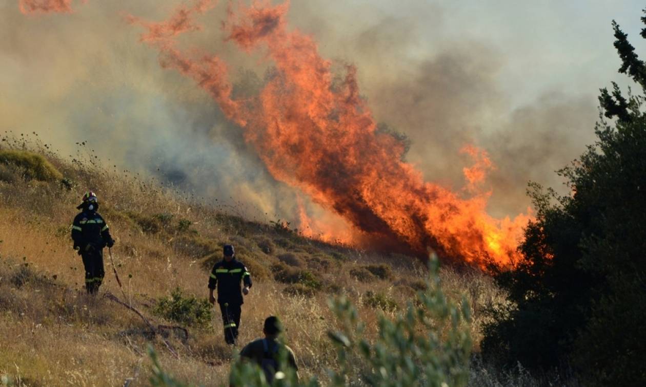 Συναγερμός στην Πυροσβεστική για πυρκαγιές σε Δοκό Ευβοίας και Πρόδρομο Θηβών