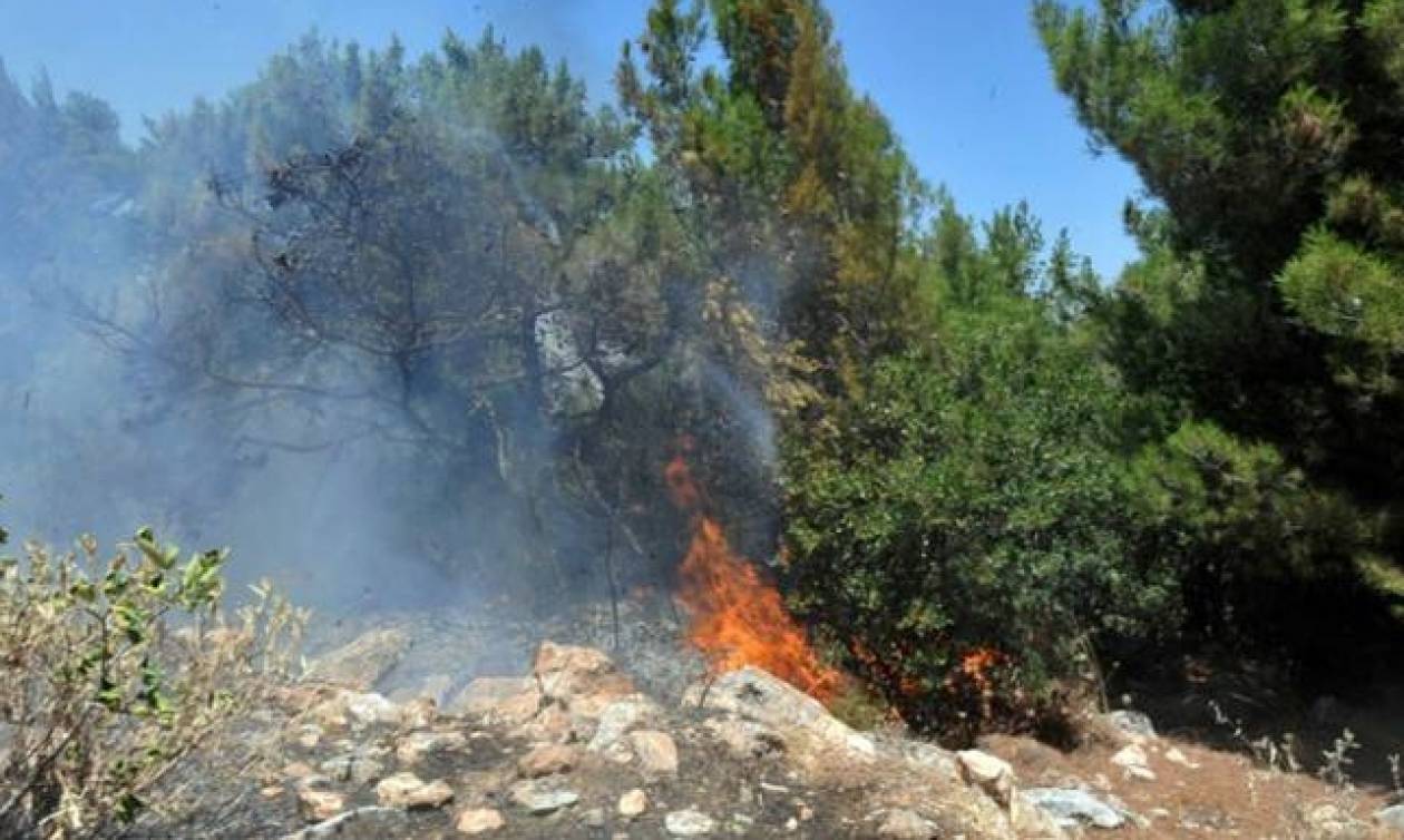 Υπό μερικό έλεγχο η πυρκαγιά στις Γούρνες Ηρακλείου