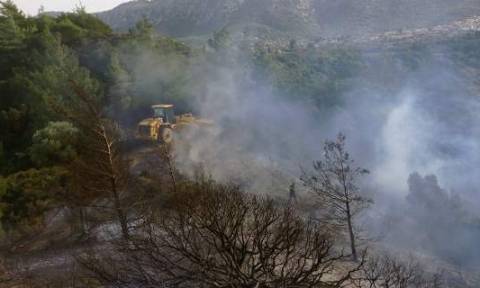 Φωτιά Δερβενοχώρια: Στη Στεφάνη Βοιωτίας το κύριο μέτωπο της φωτιάς