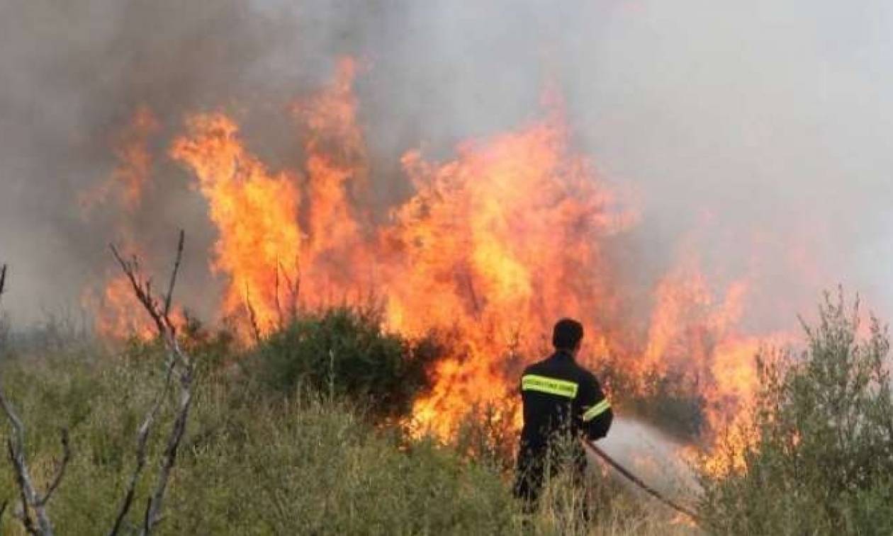 Συναγερμός στην Κρήτη: Δύο πύρινα μέτωπα σε Μεσοχώρι και στο Φαράγγι Θέρισου