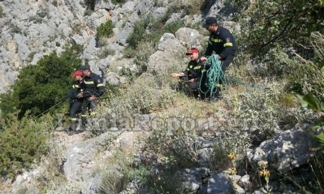 Φθιώτιδα: Νεκρός σε χαράδρα βρέθηκε αγνοούμενος άνδρας