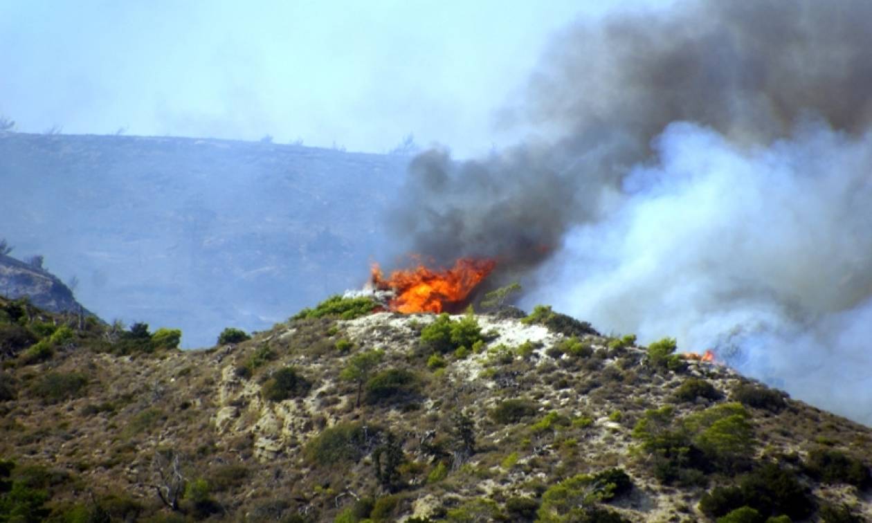 Wildfire in the area of Messara on Crete Newsbomb