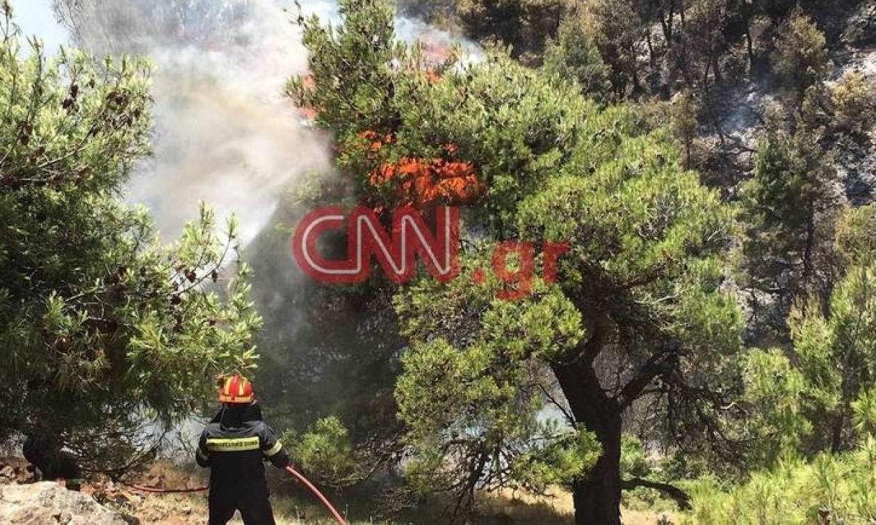 Τιμή στους πιλότους του canadair που κινδύνεψαν στα Δερβενοχώρια