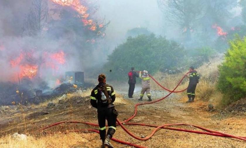 Συναγερμός στην Ναυπακτία: Μεγάλη φωτιά σε δασική έκταση