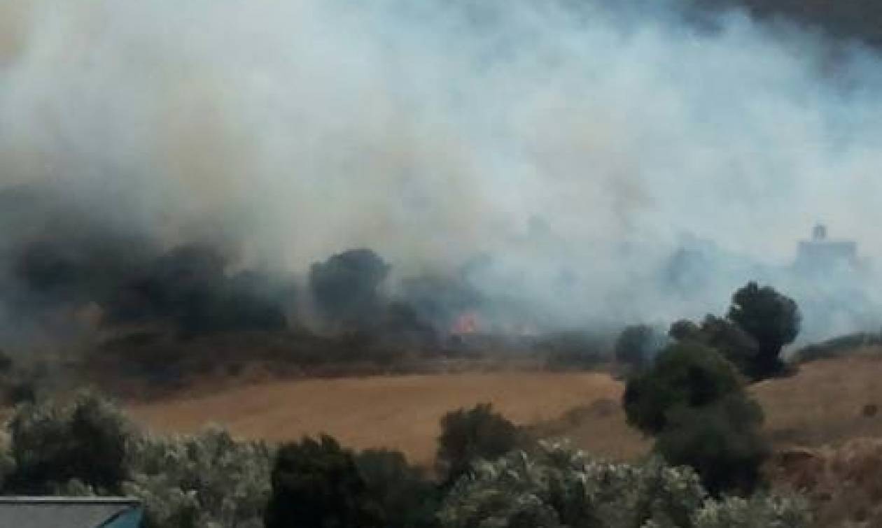 Φωτιά και στην Άνδρο (pics)