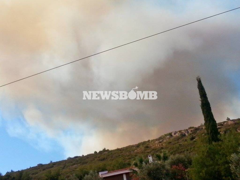 Φωτιά Σάμος: Μαίνεται η πυρκαγιά - Επί ποδός η πυροσβεστική