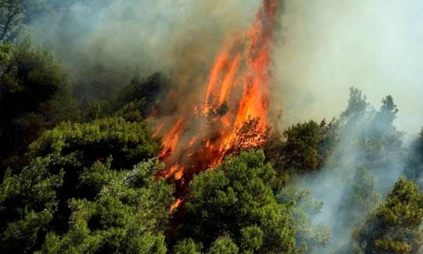 На острове Самос вторые сутки пожарные службы борются с огнем