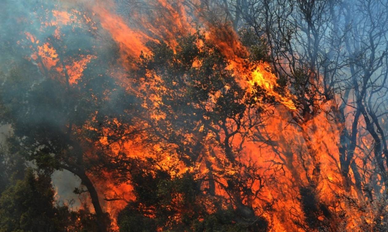 Φωτιά σε οικόπεδο στις Αχαρνές