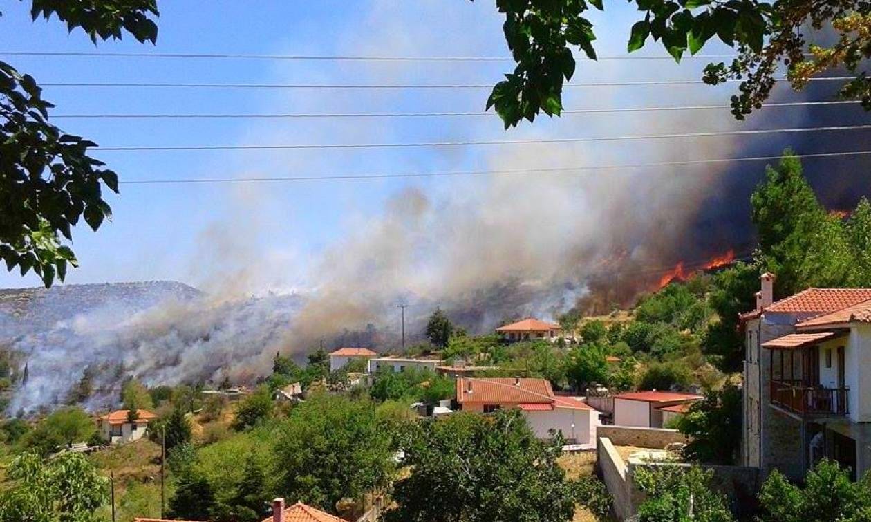 Φωτιά στην Κυνουρία Αρκαδίας - Απειλούνται σπίτια (pics+vid)