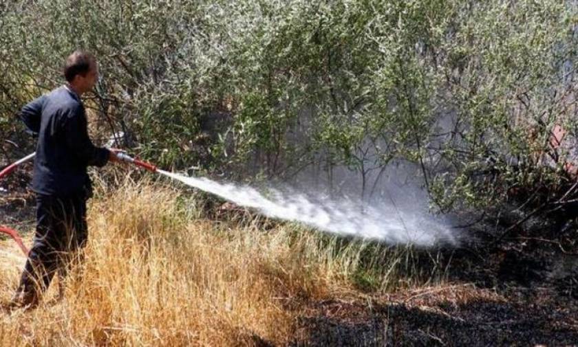 Υπό μερικό έλεγχο η φωτιά στον Πάρνωνα - Στάχτη έγιναν 150 στρέμματα