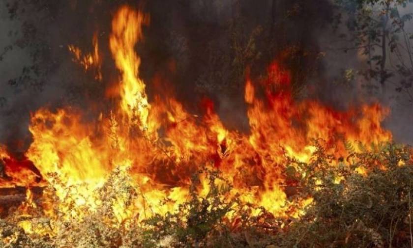 Μεγάλη φωτιά στη Λέρο - Απειλεί κατοικημένες περιοχές