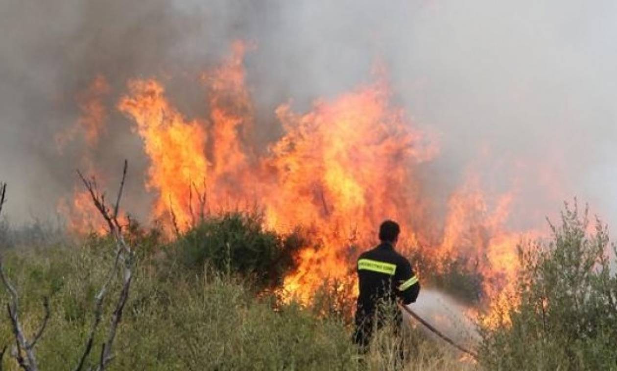 Συναγερμός στην Πυροσβεστική για φωτιά στον Αλμυρό Βόλου