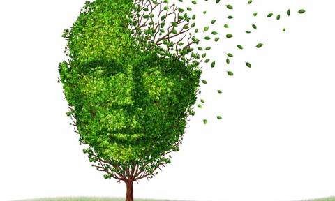 Αλτσχάιμερ: Το ρόφημα που προστατεύει τον εγκέφαλο
