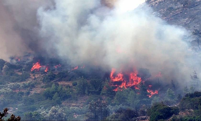Φωτιά Χίος: Το νησί μετράει τις πληγές του - «Στάχτη» έγιναν τα μαστιχόδεντρα