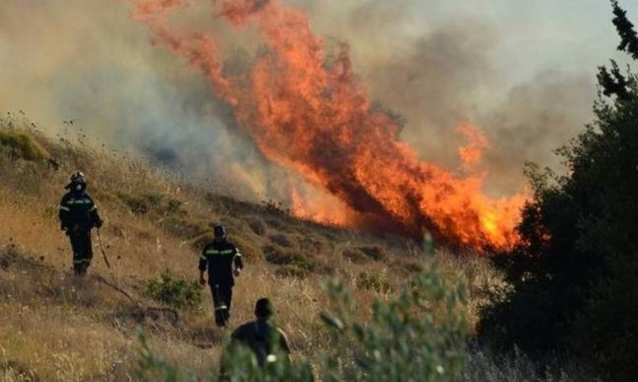 Ασπρόπυργος: Προφυλακίστηκε 37χρονος ως υπαίτιος πρόκλησης δώδεκα πυρκαγιών