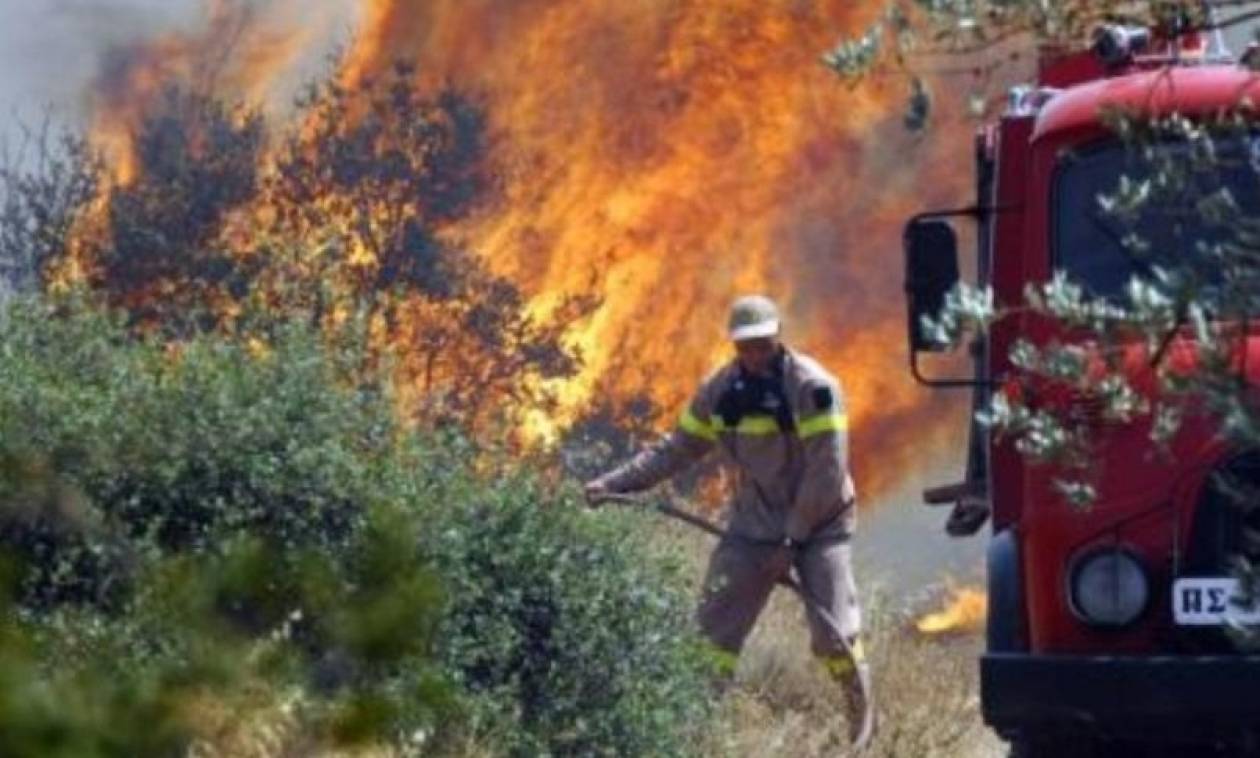 Συναγερμός στην Πυροσβεστική για μεγάλη φωτιά κοντά στην ΒΙ. ΠΕ. Πάτρας