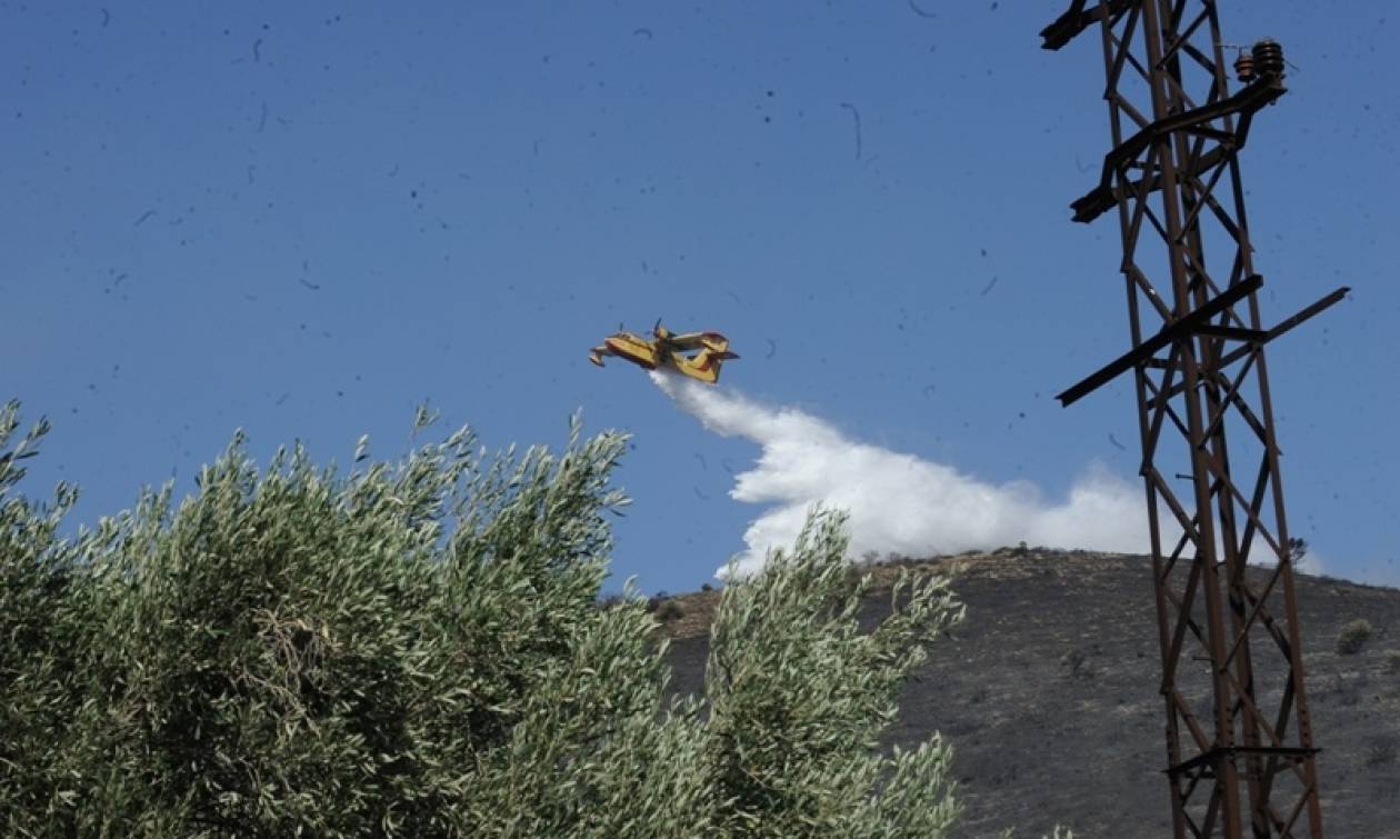 Μεγάλη πυρκαγιά στη Βόρεια Εύβοια