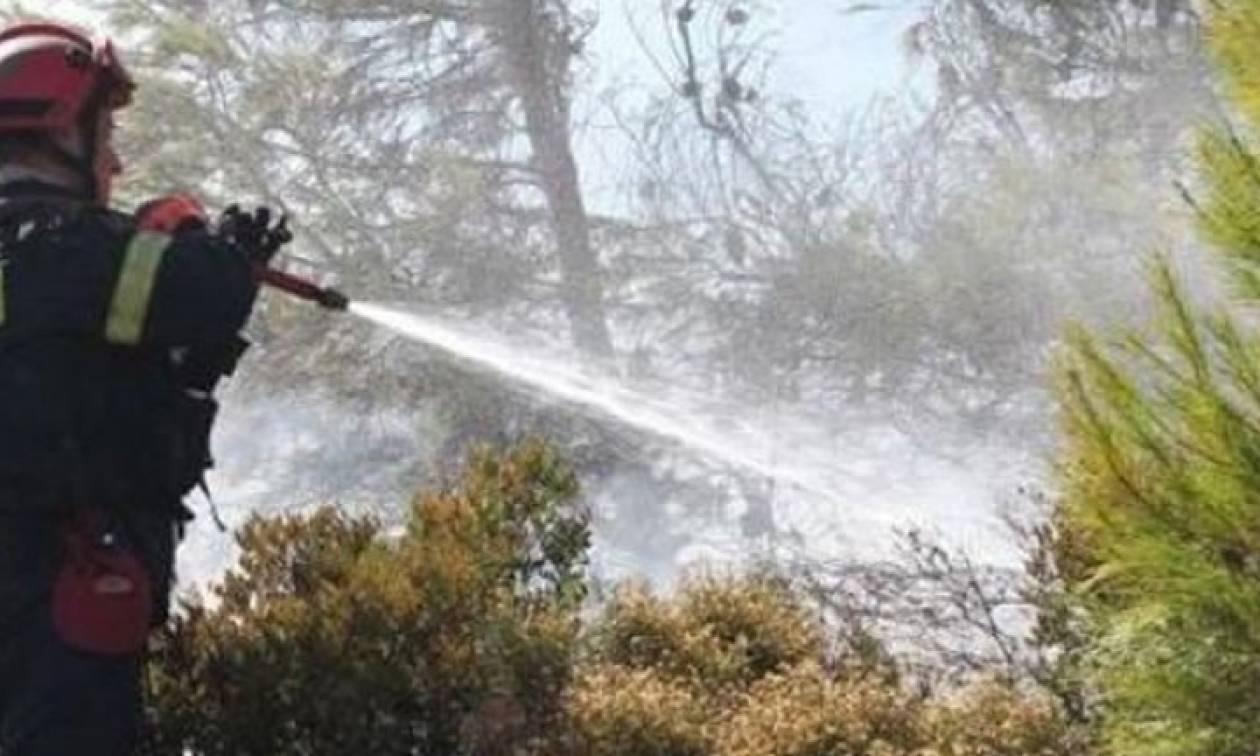 Υπό έλεγχο η φωτιά στο Παγγαίο Όρος