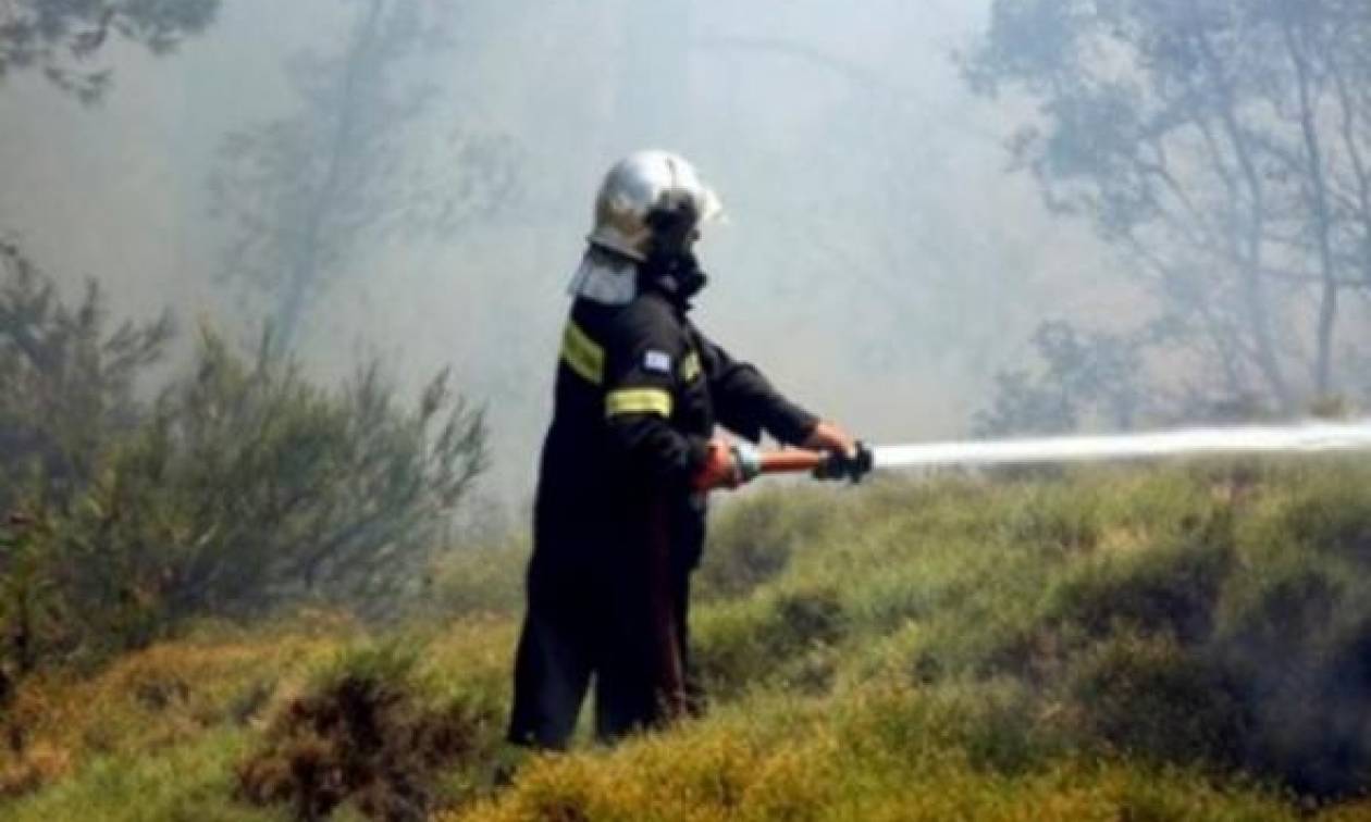 Φωτιά στην βόρεια Εύβοια: Υπό έλεγχο το πύρινο μέτωπο