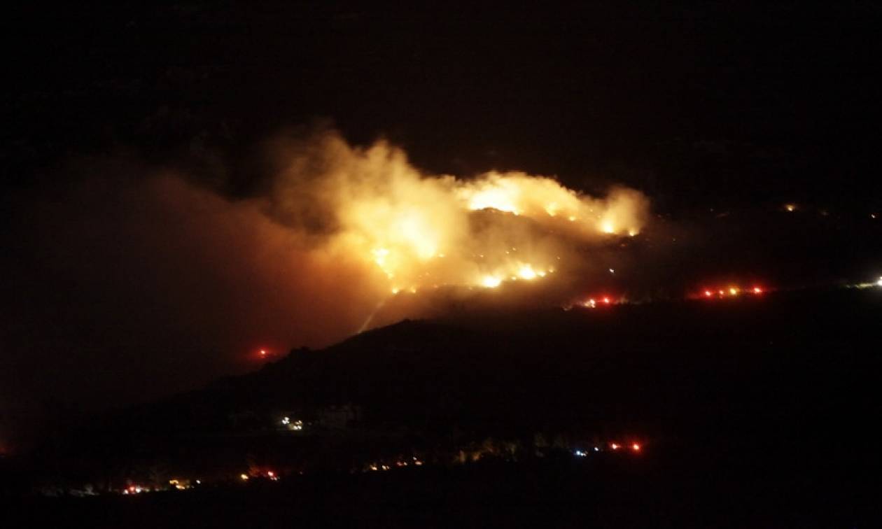 Φωτιά Εύβοια: Ενισχύονται οι δυνάμεις πυρόσβεσης με ερπυστριοφόρα μηχανήματα