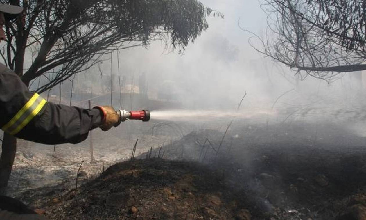 Φωτιά Εύβοια: Η πυρκαγιά οριοθετήθηκε και είναι υπό έλεγχο