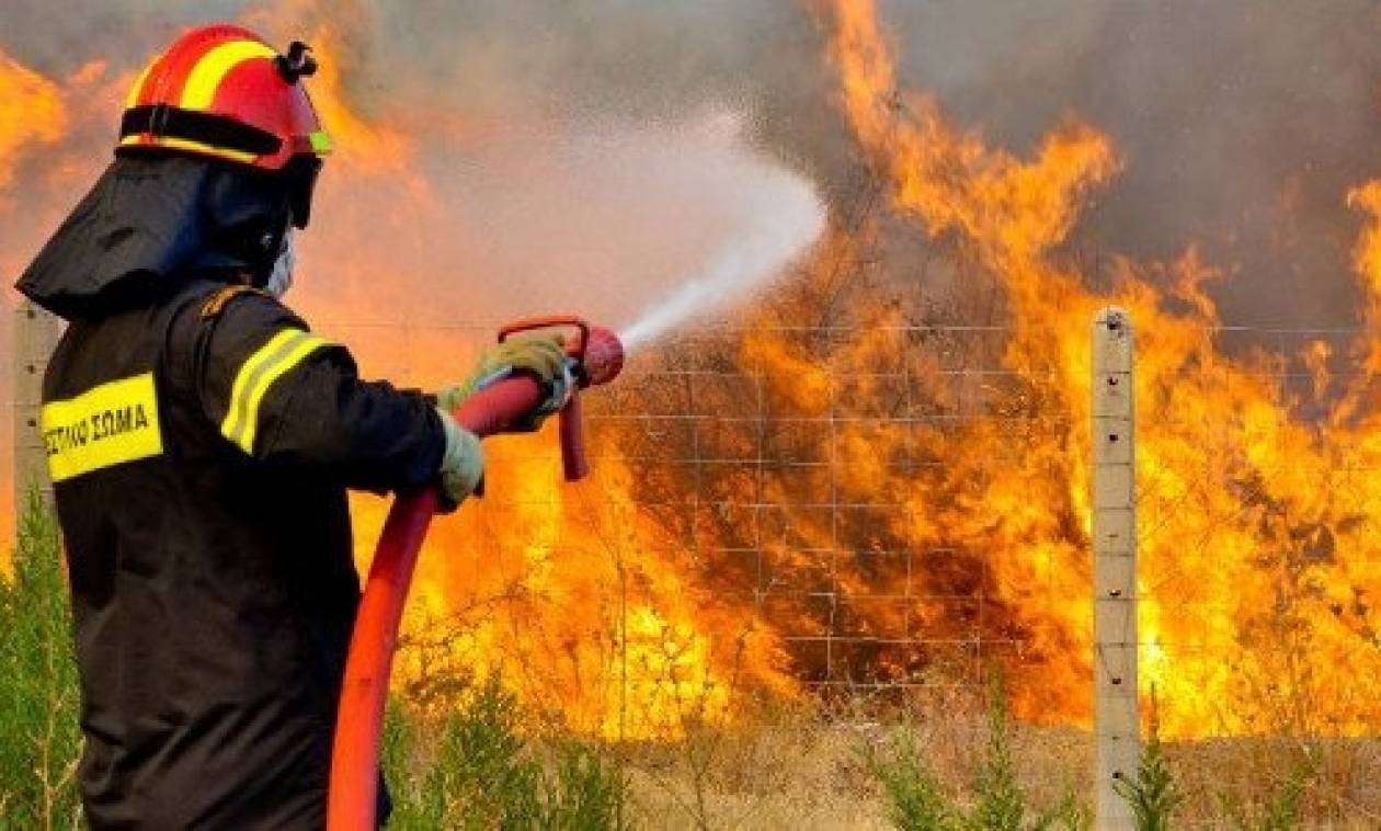 Υπό μερικό έλεγχο η πυρκαγιά στoν Πύργο