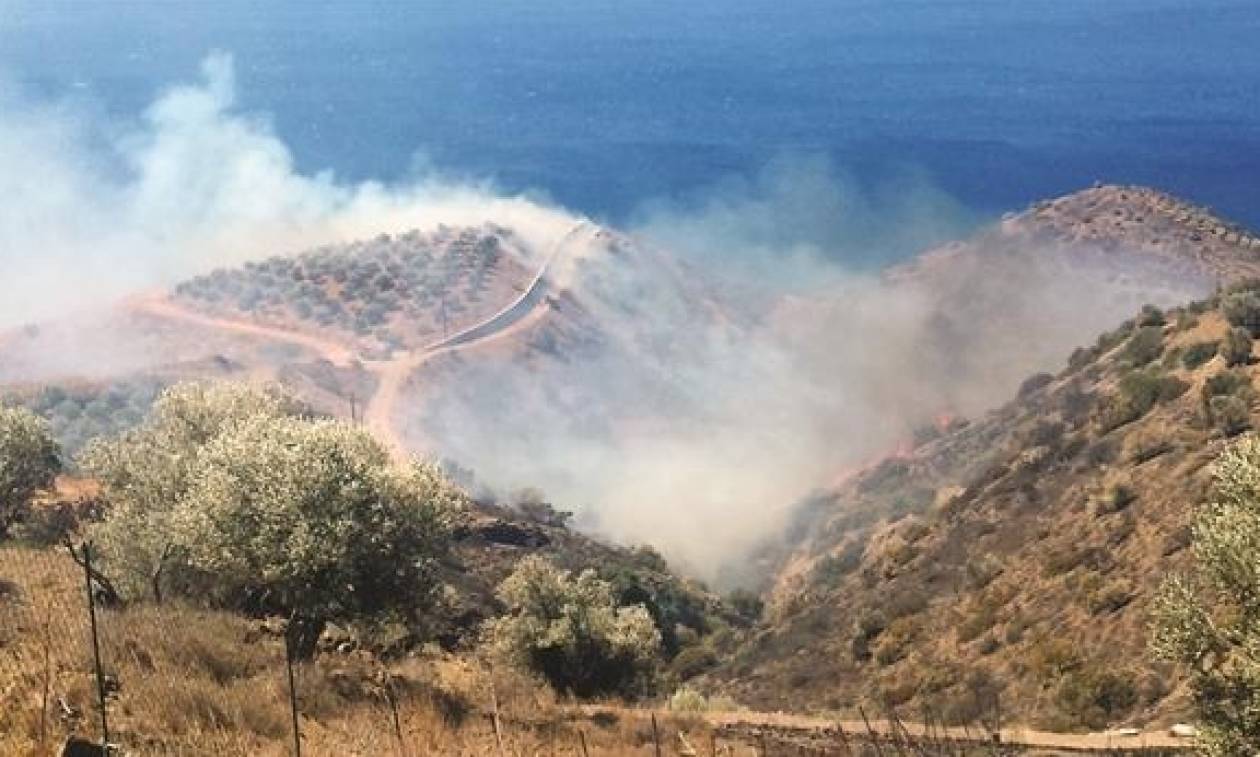 Ηράκλειο: Υπό μερικό έλεγχο η φωτιά στις Βασιλειές