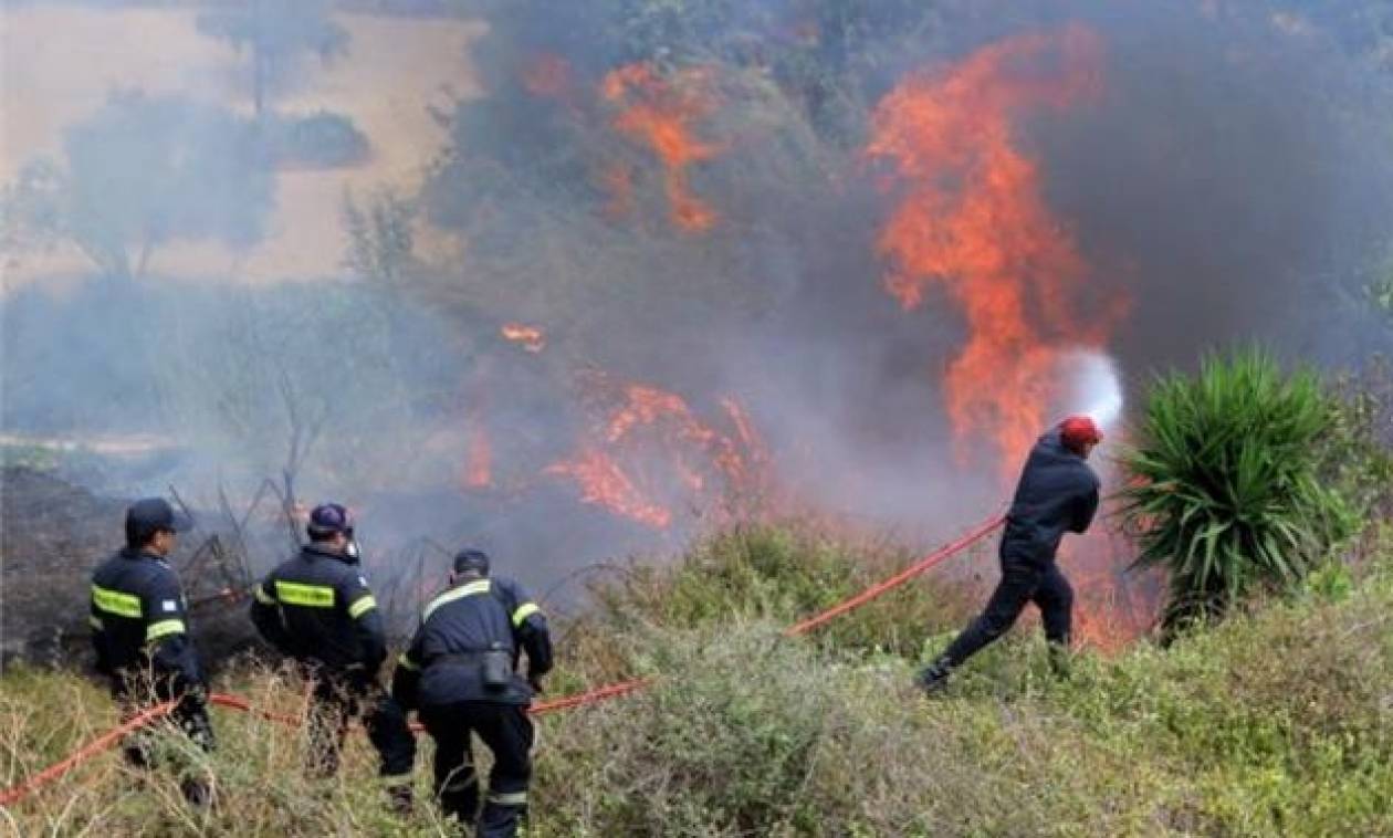 Συναγερμός στην Πυροσβεστική για πυρκαγιά στο Κόκκινο Βοιωτίας