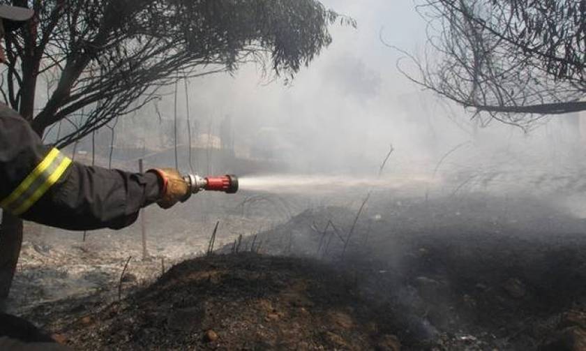 Υπό έλεγχο η πυρκαγιά στην Κατούνα Αιτωλοακαρνανίας