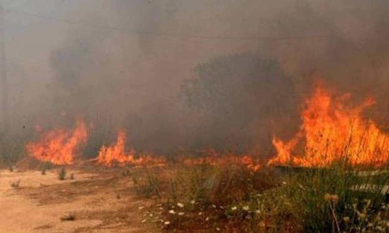 Υπό μερικό έλεγχο η φωτιά στην Zάκυνθο