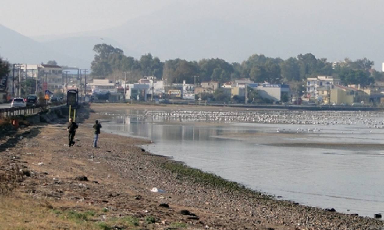 Θρίλερ στην Εύβοια: Πτώμα ξέβρασε η θάλασσα