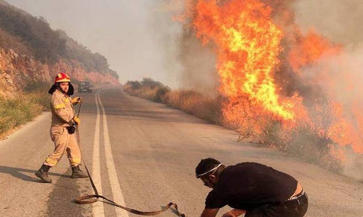 Μάχη με τις φλόγες και τους δυνατούς ανέμους στην Εύβοια