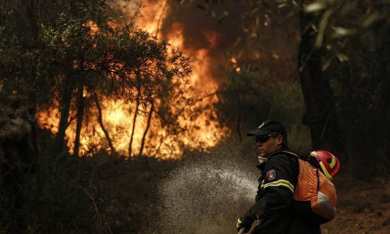 Νεκρός Πυροσβέστης στη μεγάλη φωτιά της Βοιωτίας